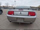 Ford Mustang Image 2