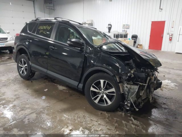 Toyota RAV4 Xle Image 1