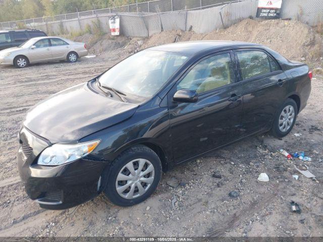 Toyota Corolla Le Image 10