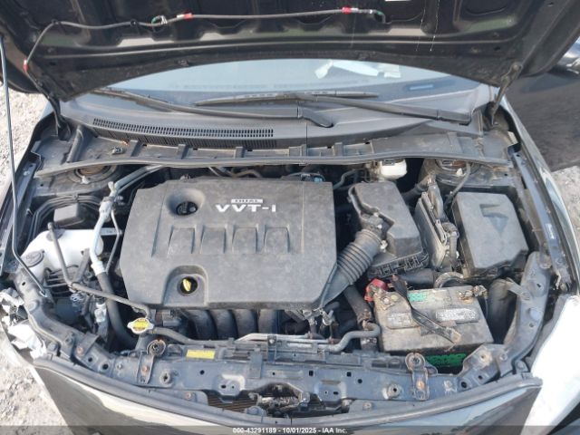 Toyota Corolla Le Image 6