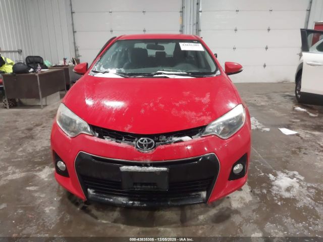 Toyota Corolla Image 4