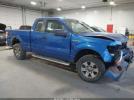Ford F-150 Stx Image 1