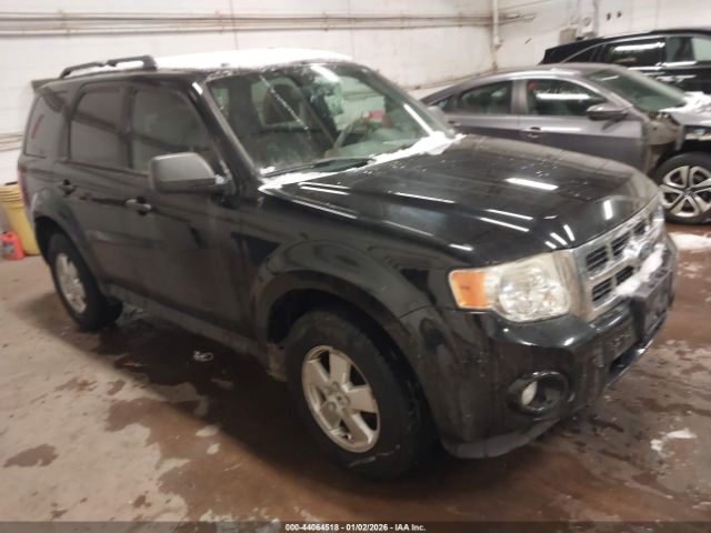 Ford Escape Xlt Image 1