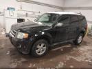 Ford Escape Xlt Image 4