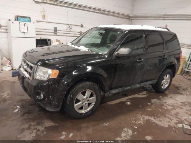 Ford Escape Xlt Image 4