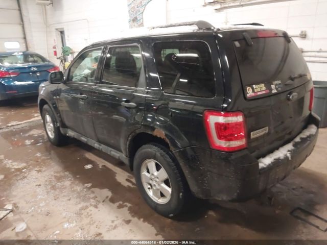 Ford Escape Xlt Image 3