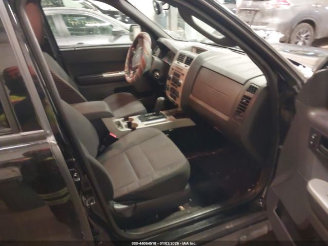 Ford Escape Xlt Image 6