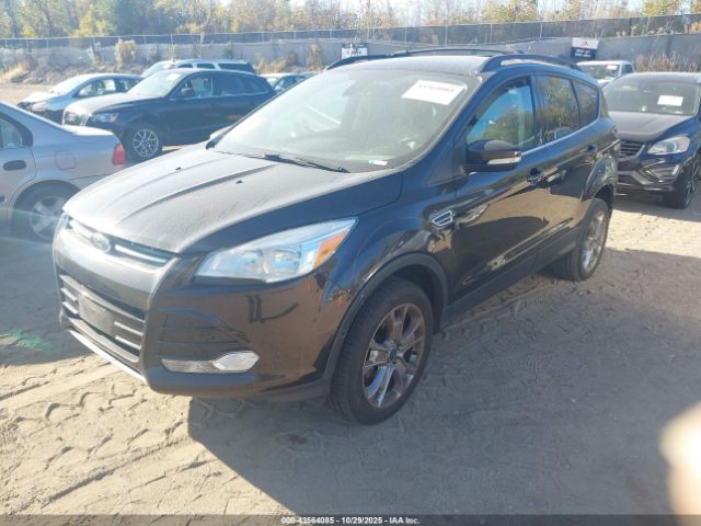 Ford Escape Sel Image 2