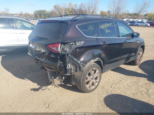 Ford Escape Sel Image 3