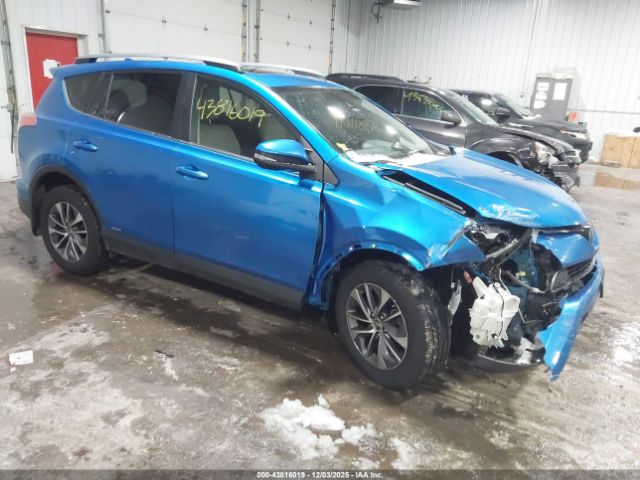 Toyota RAV4 Xle Image 1