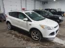 Ford Escape Titanium Image 1