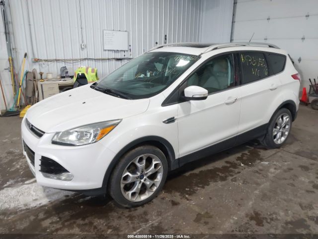 Ford Escape Titanium Image 4