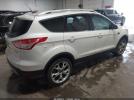 Ford Escape Titanium Image 6