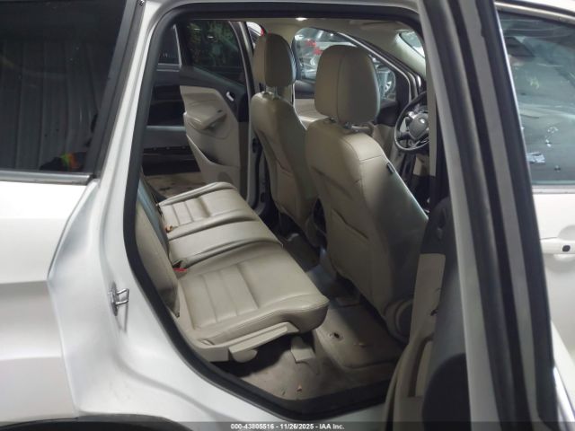 Ford Escape Titanium Image 5