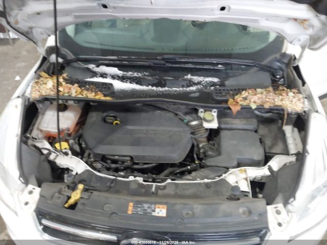 Ford Escape Titanium Image 3