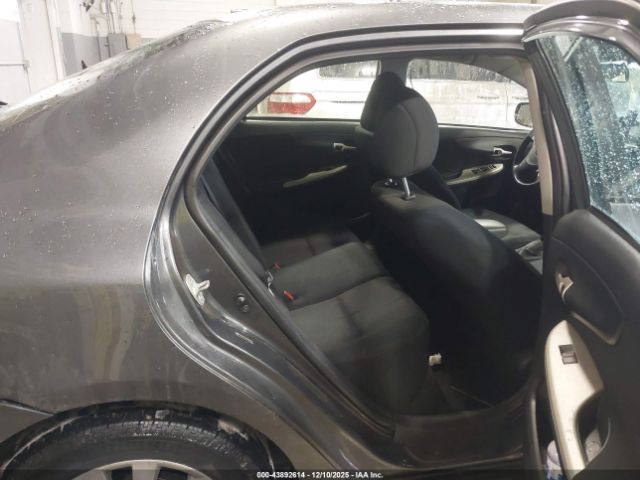 Toyota Corolla S Image 11