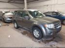 Ford Escape Image 1